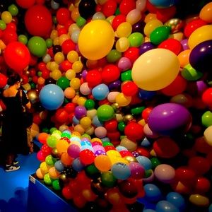 Meet your Posher, Dani Tee